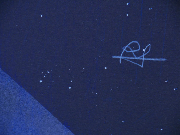 skylab-signature