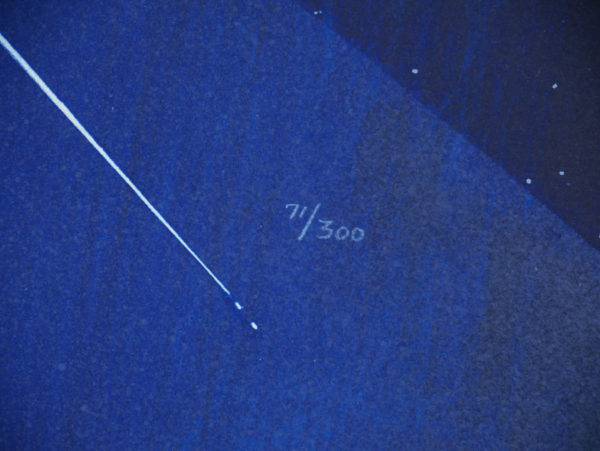 skylab-number