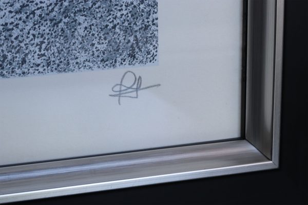 moon landing frame signature