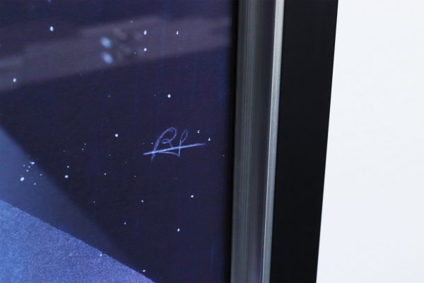 skylab frame signature